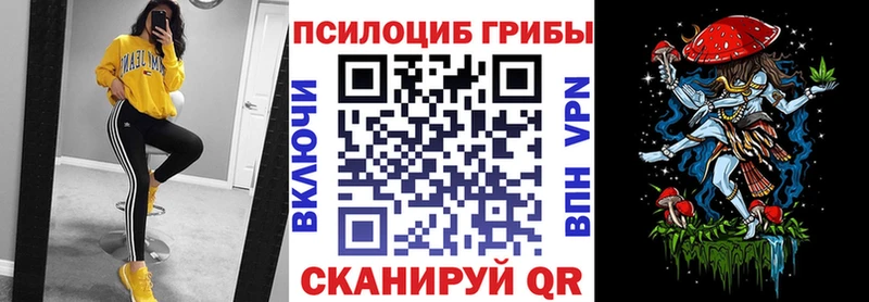 купить   Малоархангельск  Псилоцибиновые грибы MAGIC MUSHROOMS 
